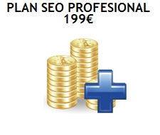 seoprofesional